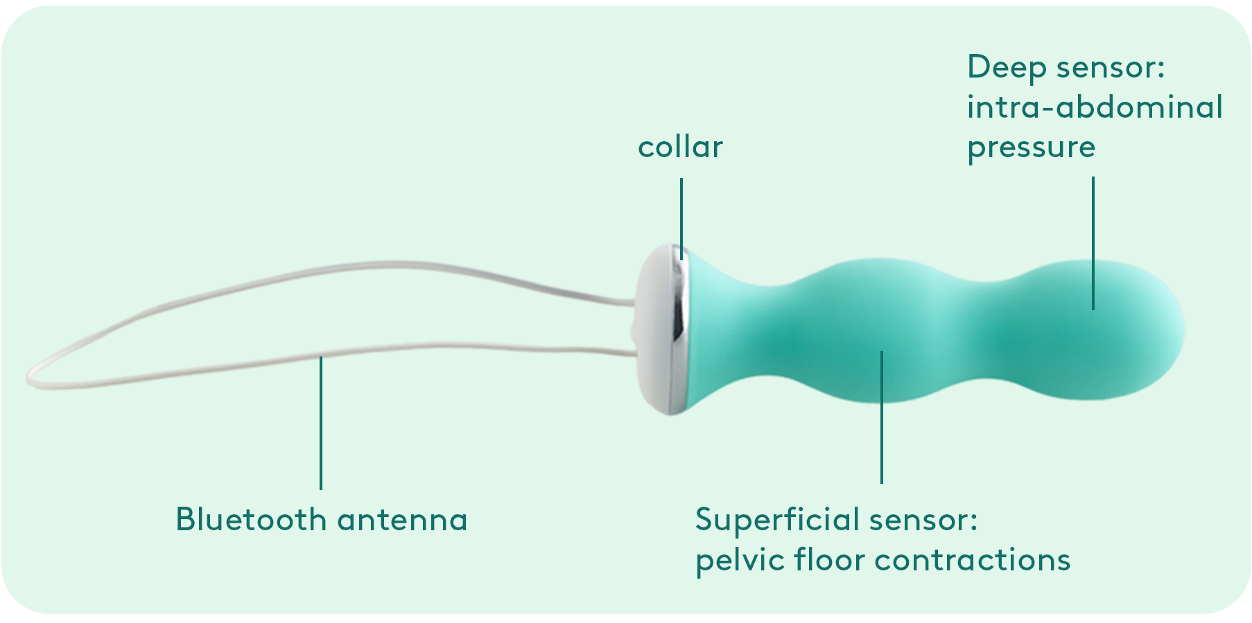 Labeled diagram of the parts of the pelvic trainer