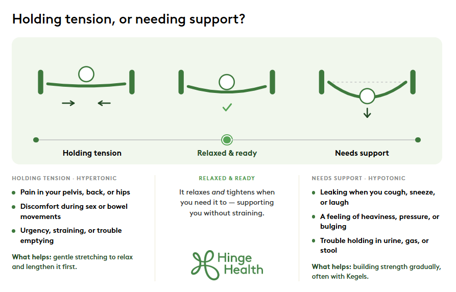 Pelvic Floor Stretches for Muscle Relaxation